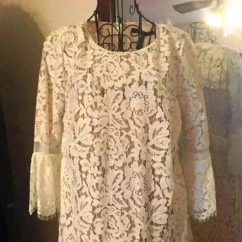 BCBGMaxazria Lace Evening Dress - Off White - Picture 9 of 12